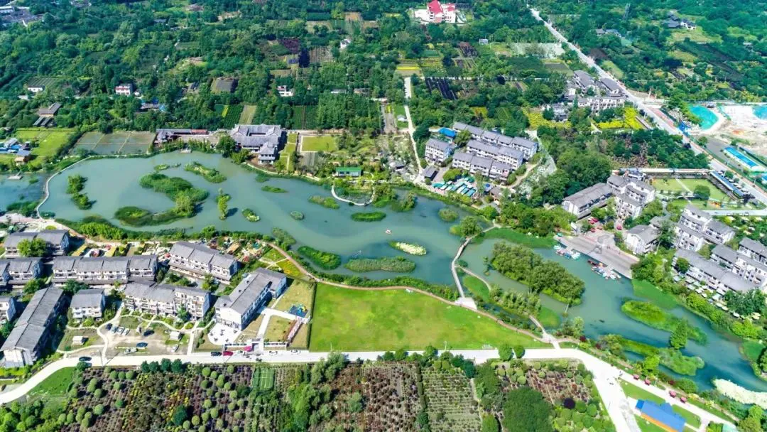 为什么篮球教练的经验很重要_1