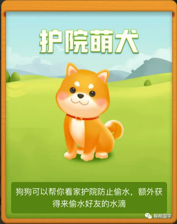 刻苦训练篮球时如何避免受伤的建议_0